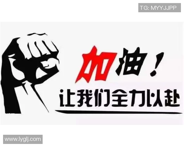 北京乒乓球队的拼搏之路与荣耀时刻全景回顾