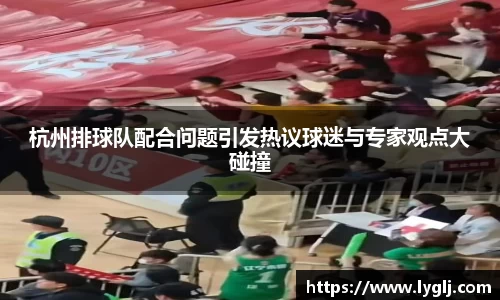 杭州排球队配合问题引发热议球迷与专家观点大碰撞